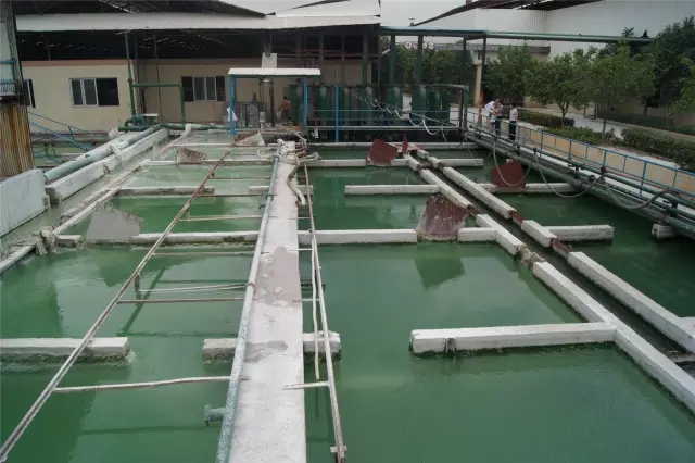 云顶集团·(中国)手机版app下载