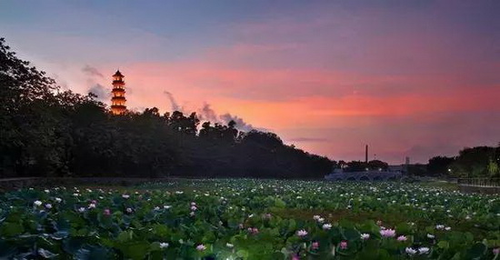 云顶集团·(中国)手机版app下载