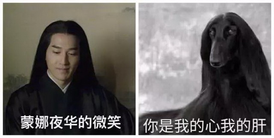 云顶集团·(中国)手机版app下载