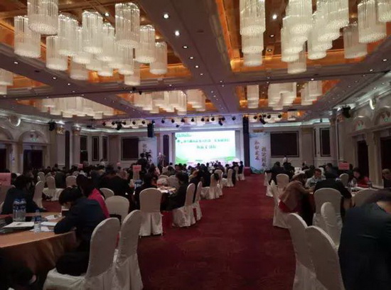 云顶集团·(中国)手机版app下载