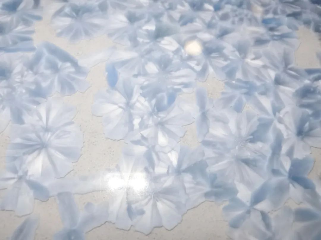 云顶集团·(中国)手机版app下载