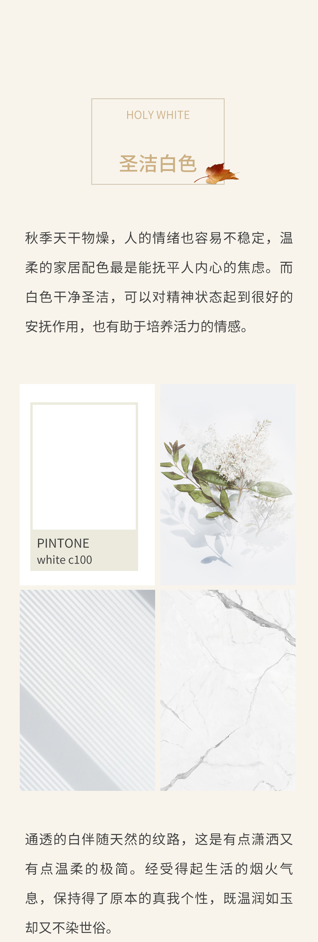 云顶集团·(中国)手机版app下载