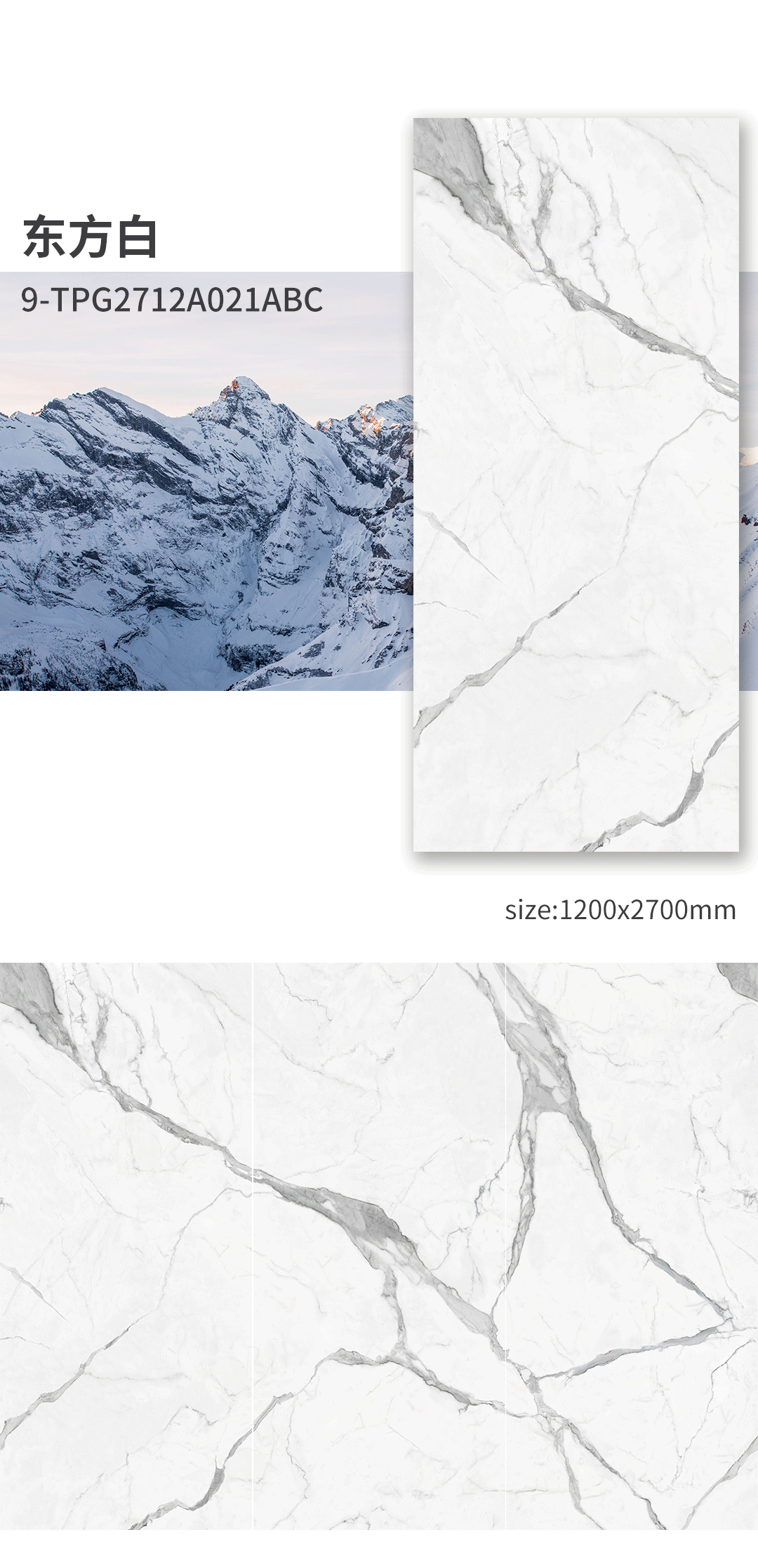 云顶集团·(中国)手机版app下载