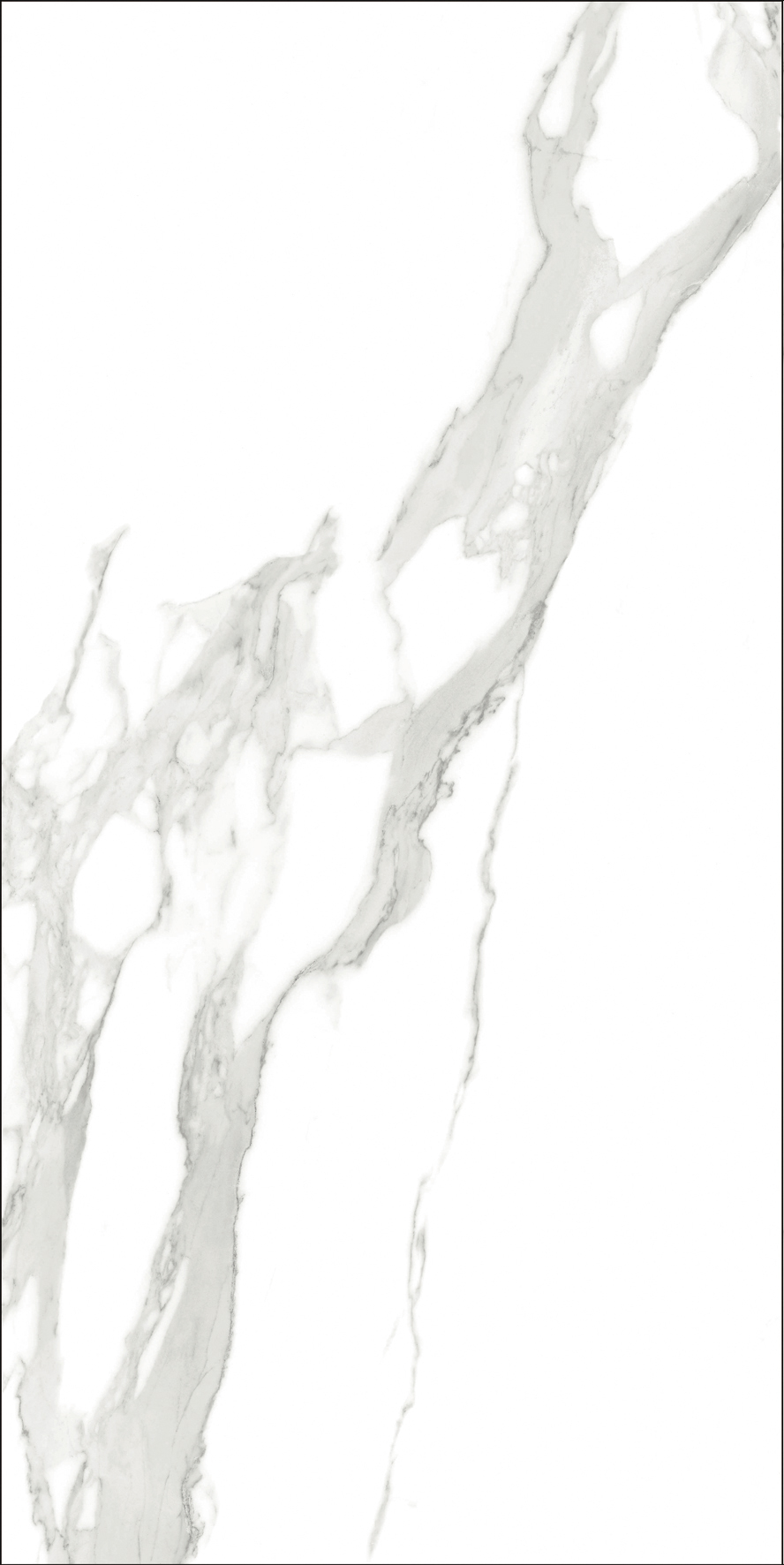 云顶集团·(中国)手机版app下载