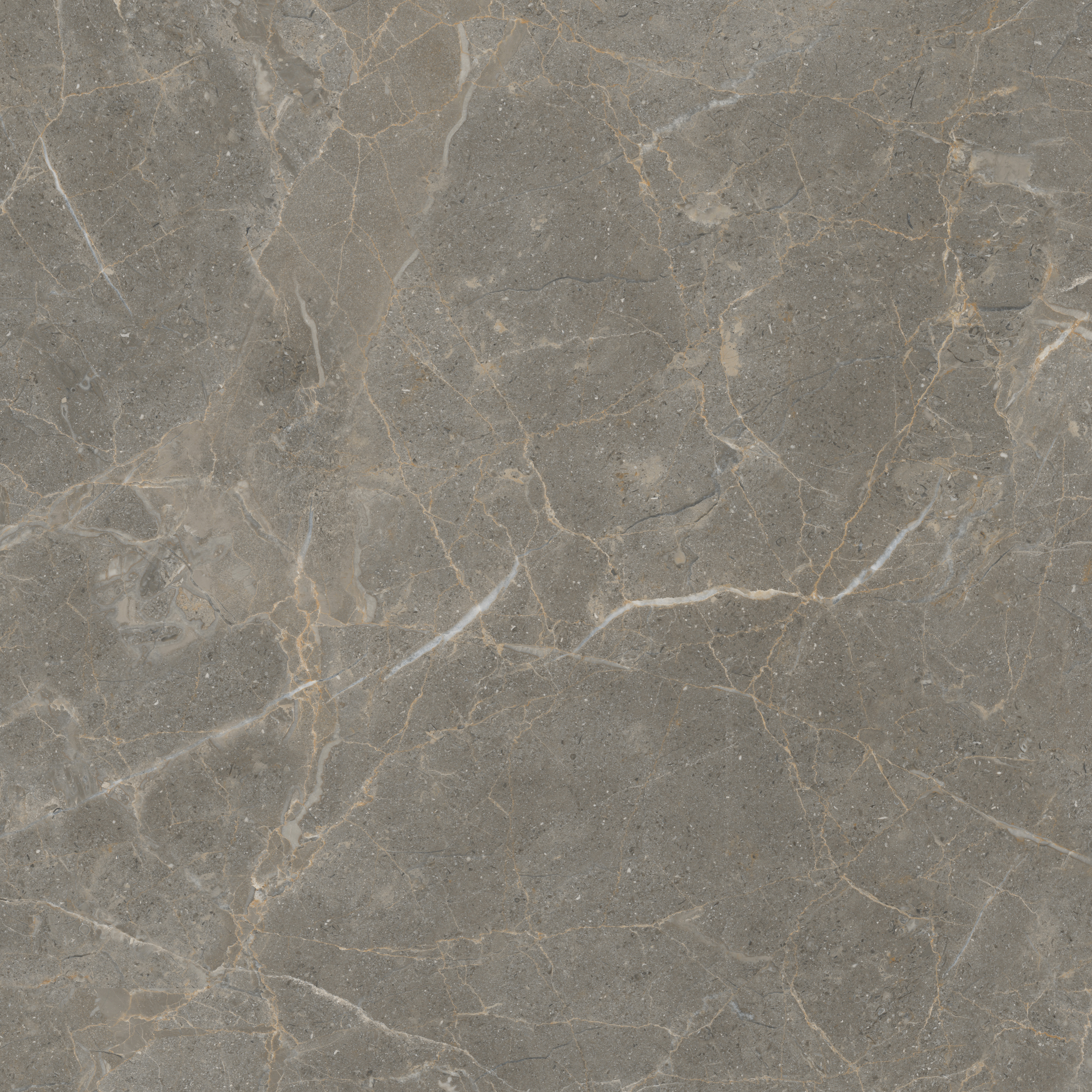 云顶集团·(中国)手机版app下载