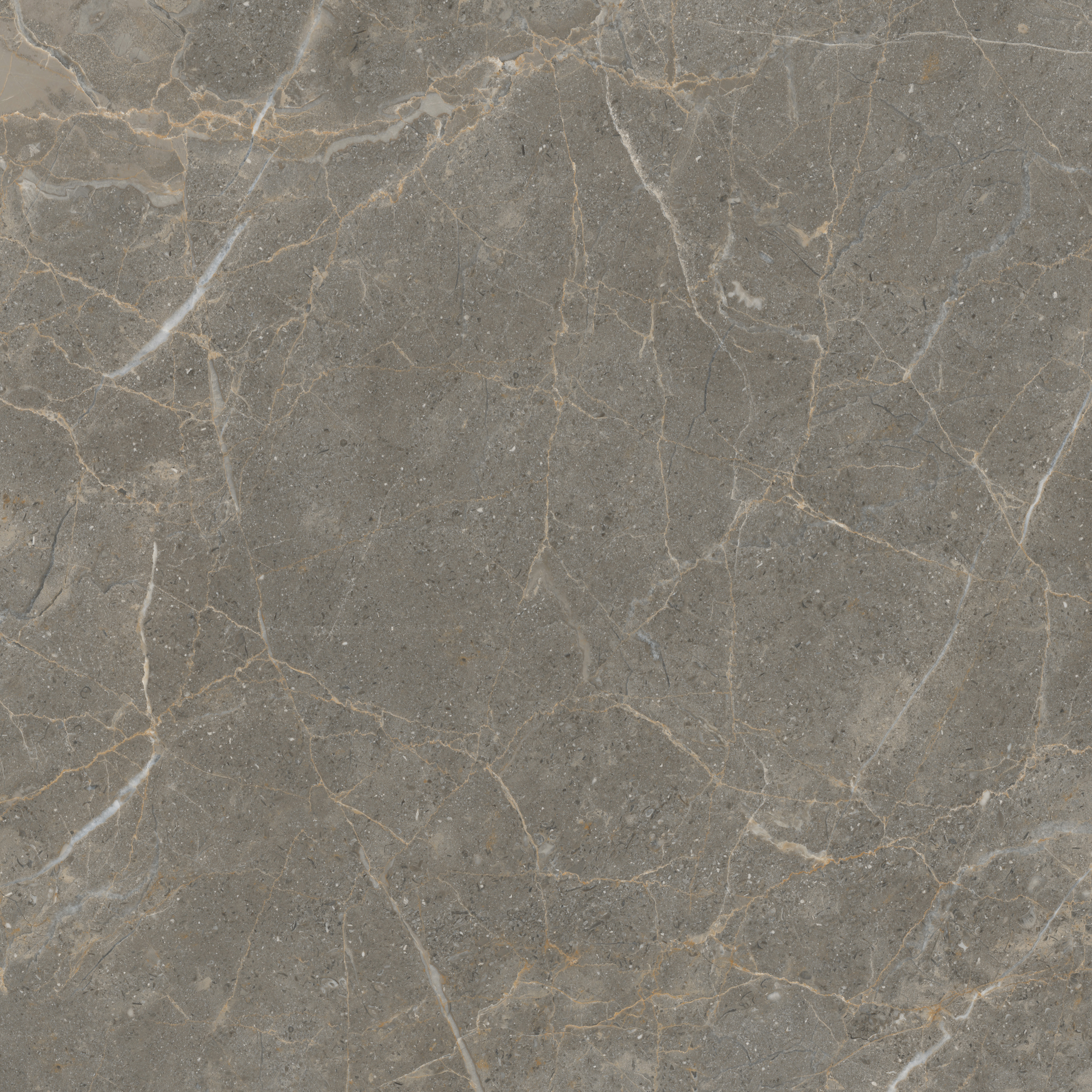 云顶集团·(中国)手机版app下载