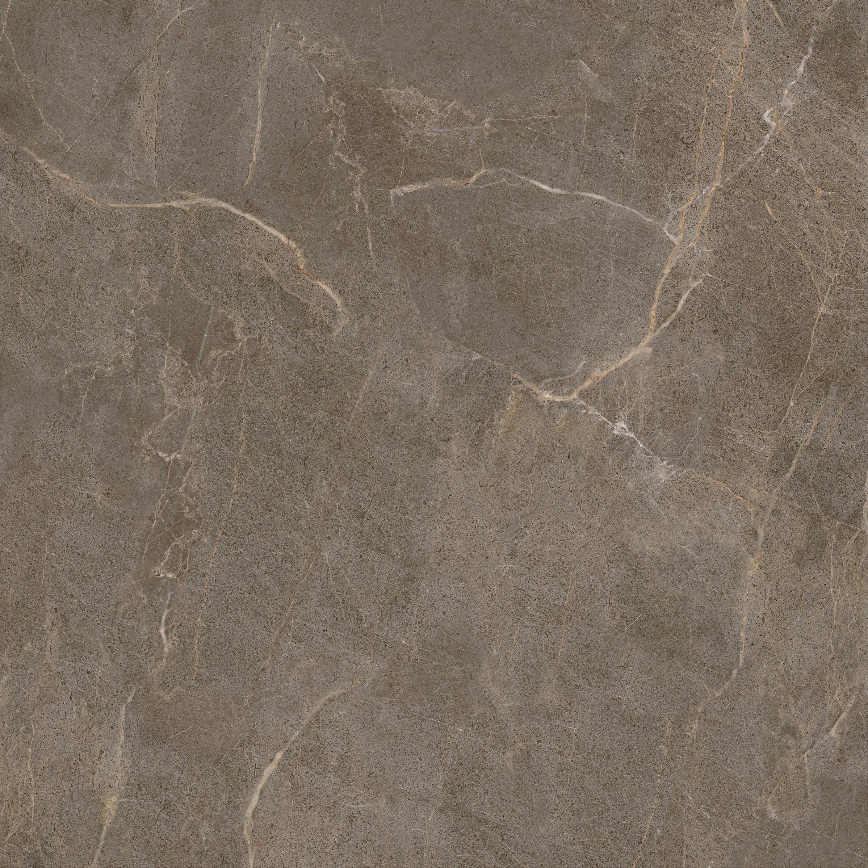 云顶集团·(中国)手机版app下载