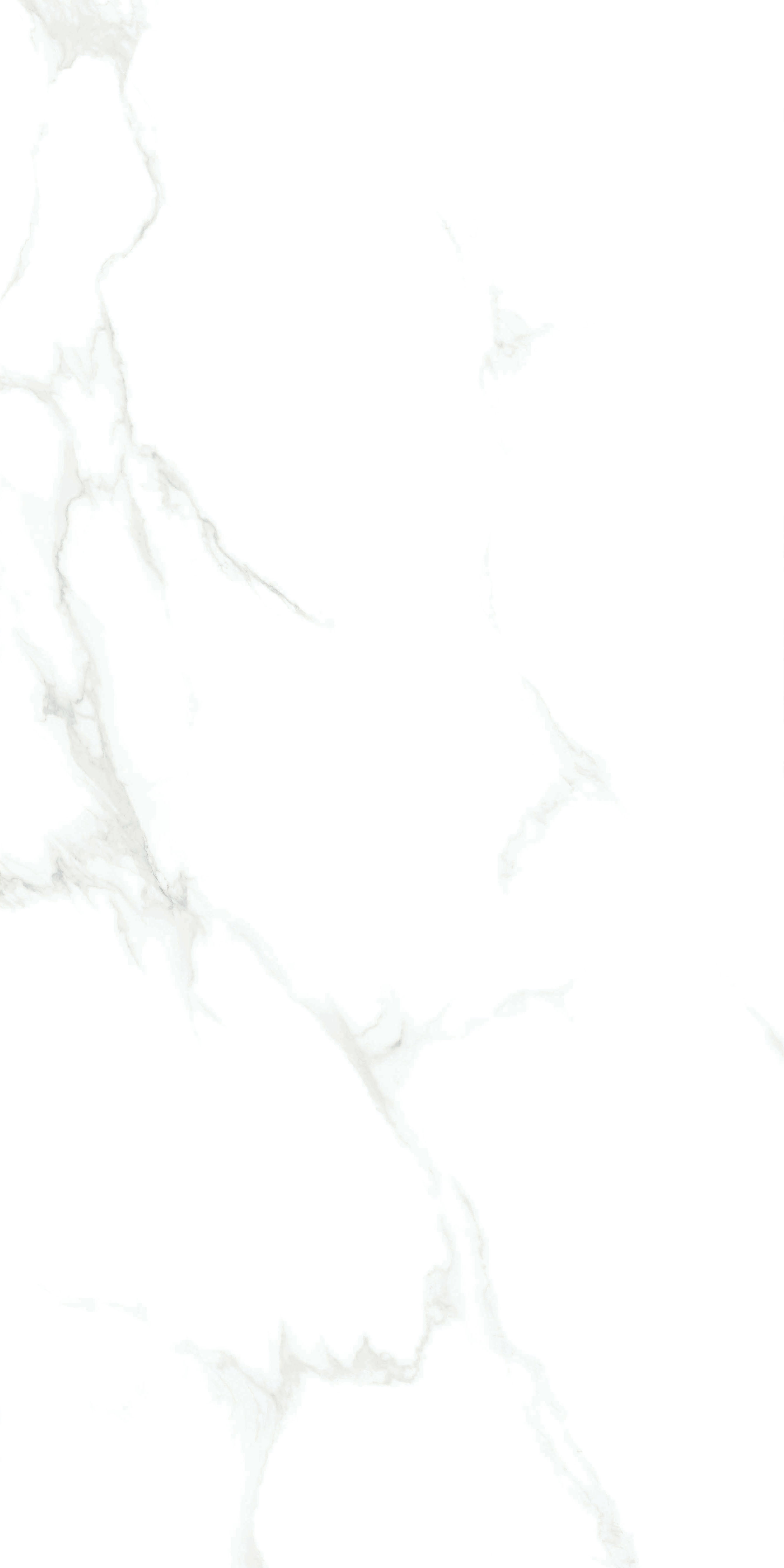 云顶集团·(中国)手机版app下载