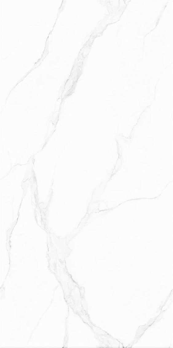 云顶集团·(中国)手机版app下载