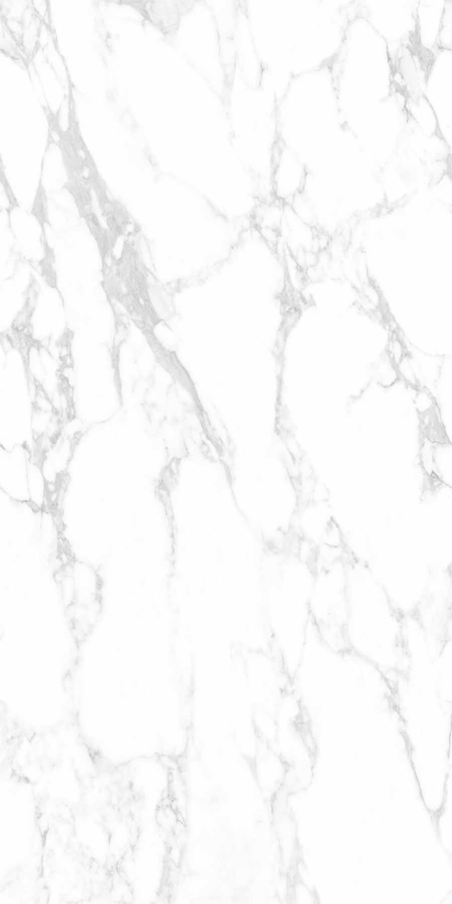 云顶集团·(中国)手机版app下载