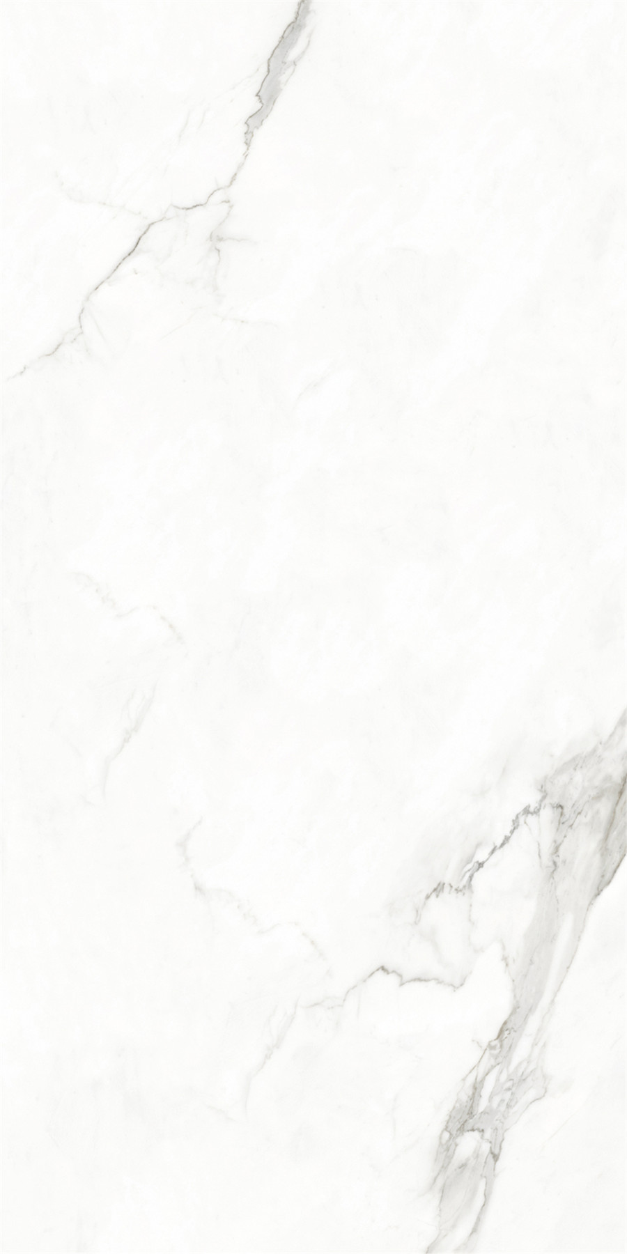 云顶集团·(中国)手机版app下载