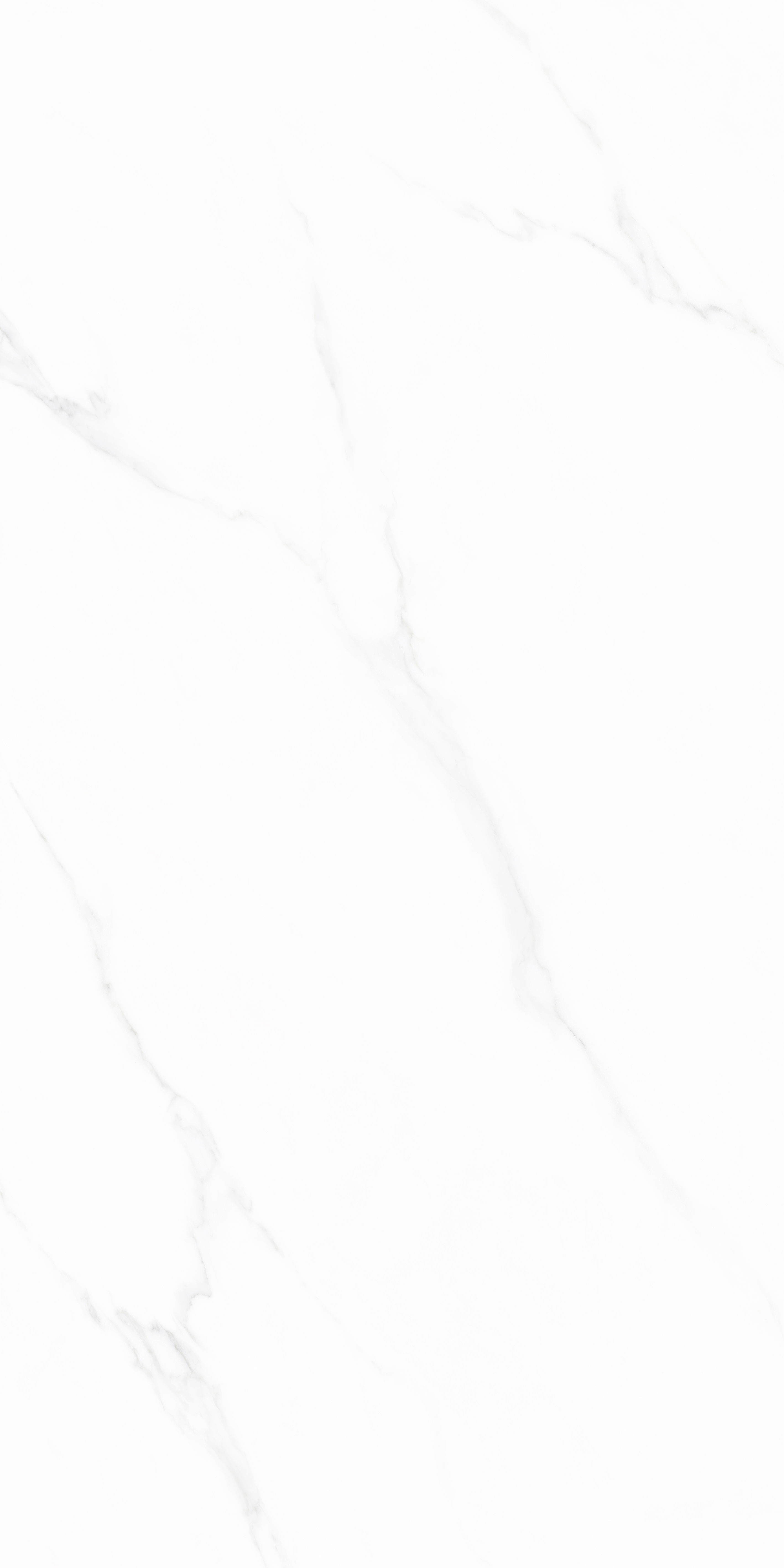 云顶集团·(中国)手机版app下载