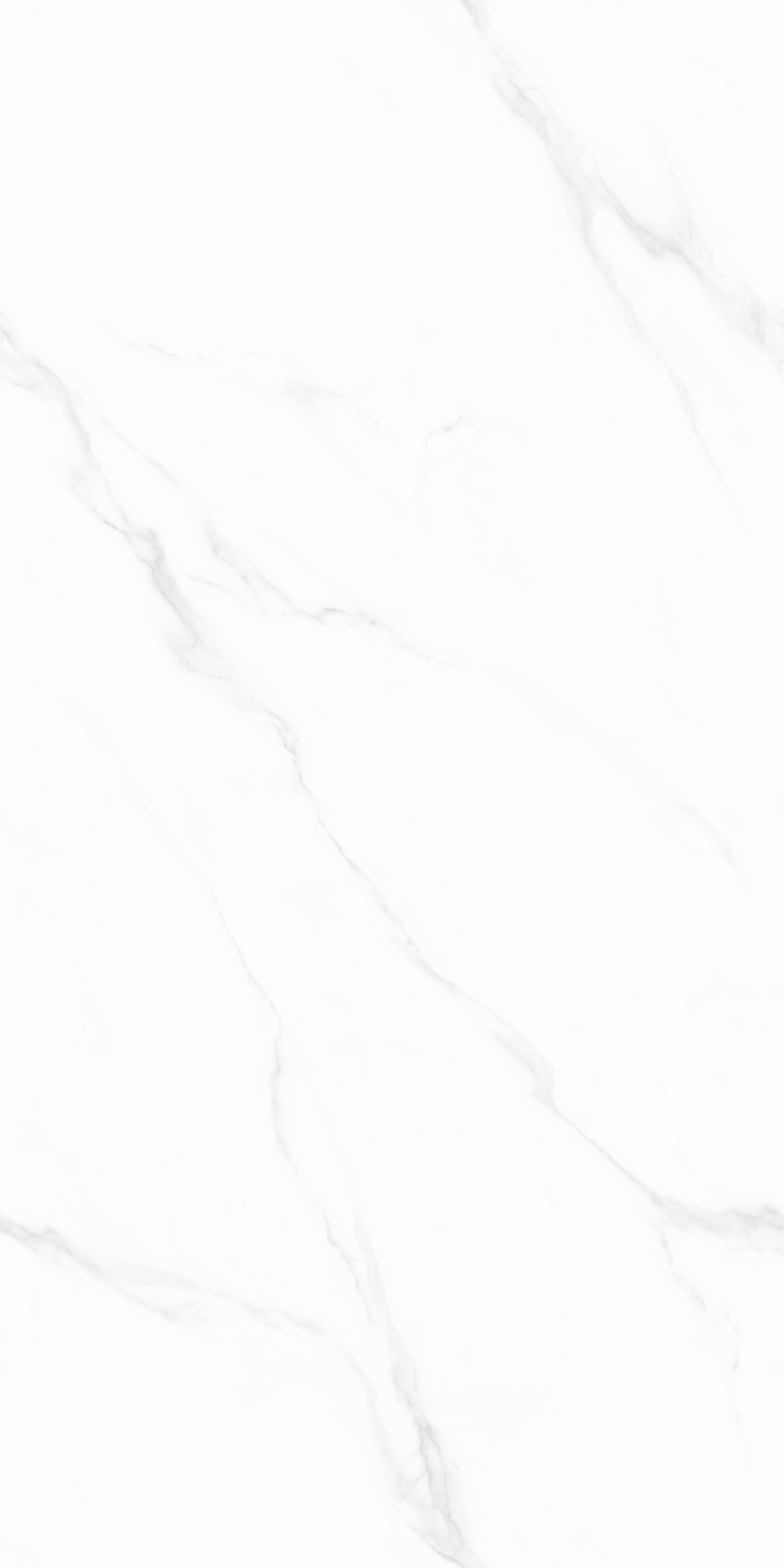 云顶集团·(中国)手机版app下载