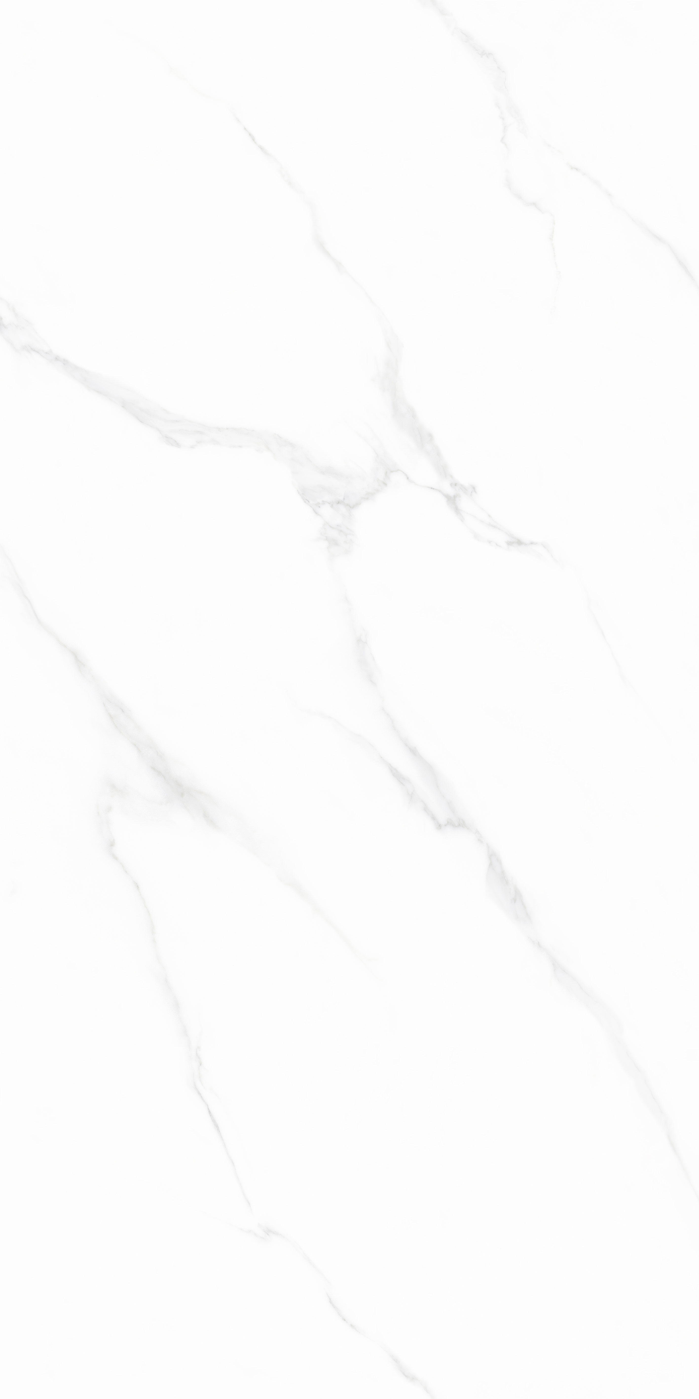 云顶集团·(中国)手机版app下载