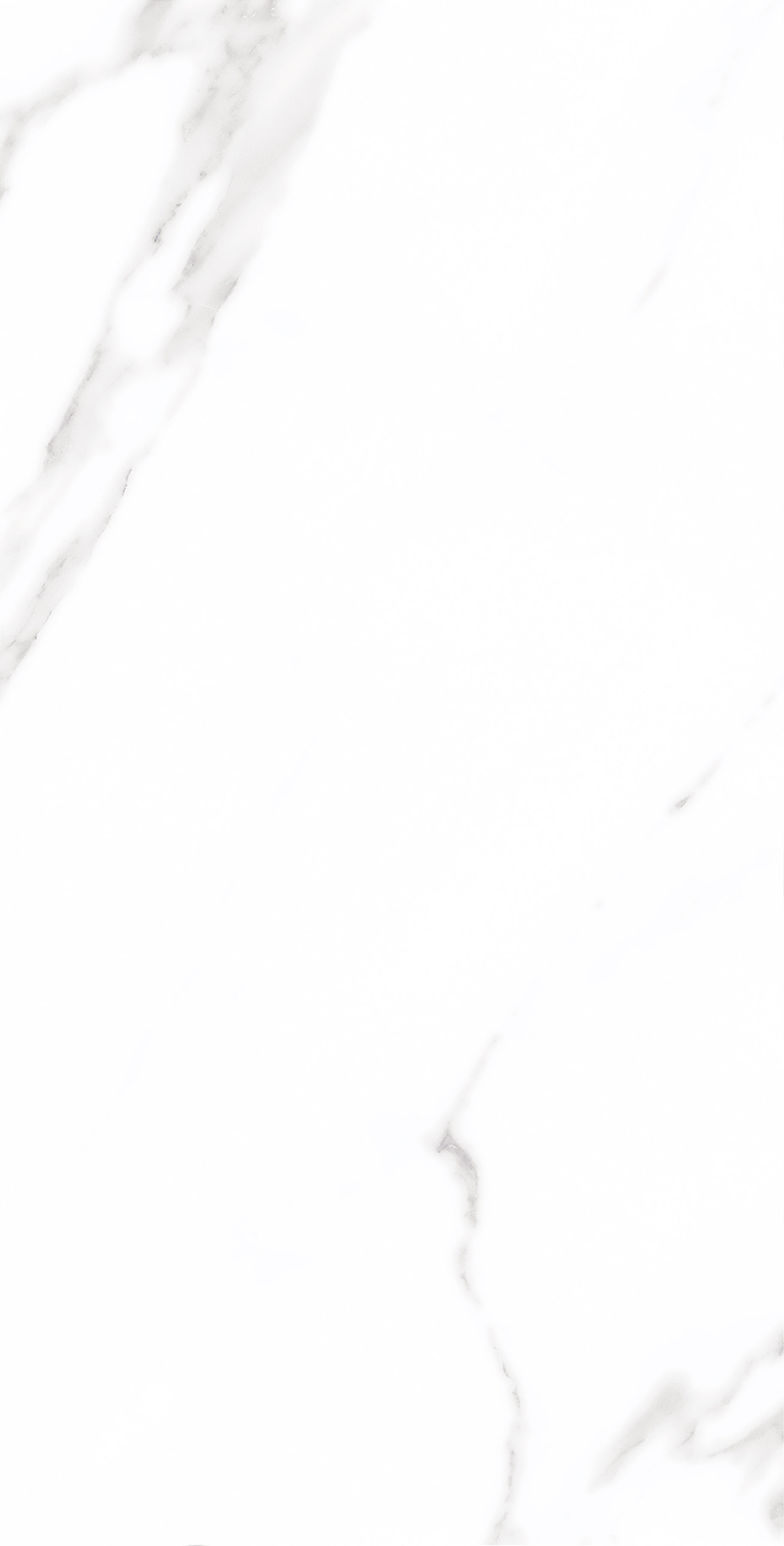 云顶集团·(中国)手机版app下载