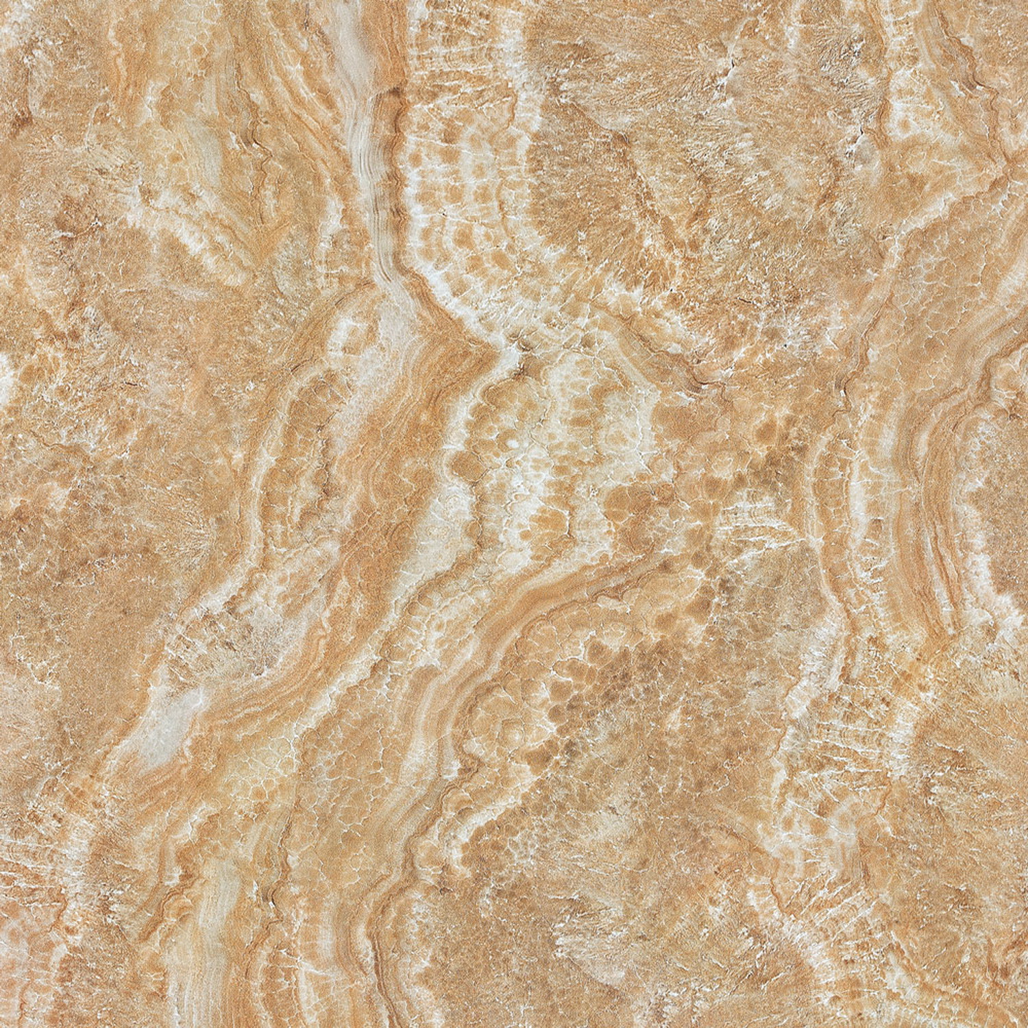 云顶集团·(中国)手机版app下载