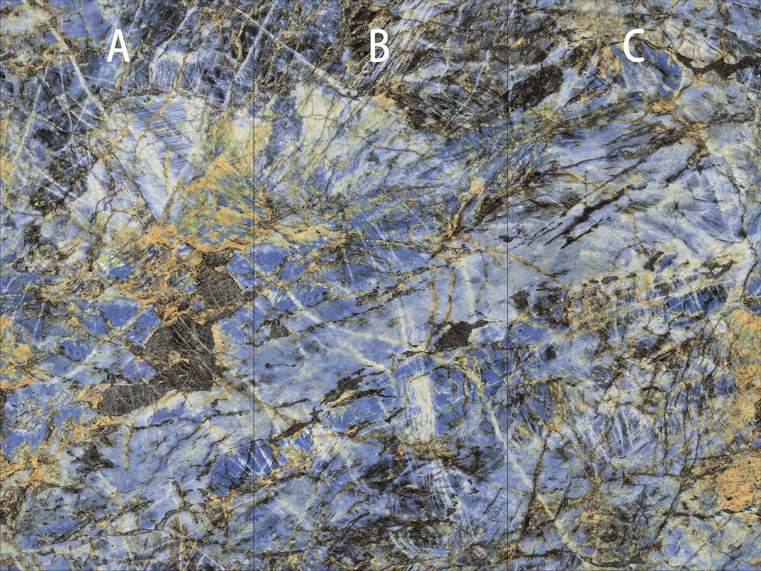 云顶集团·(中国)手机版app下载