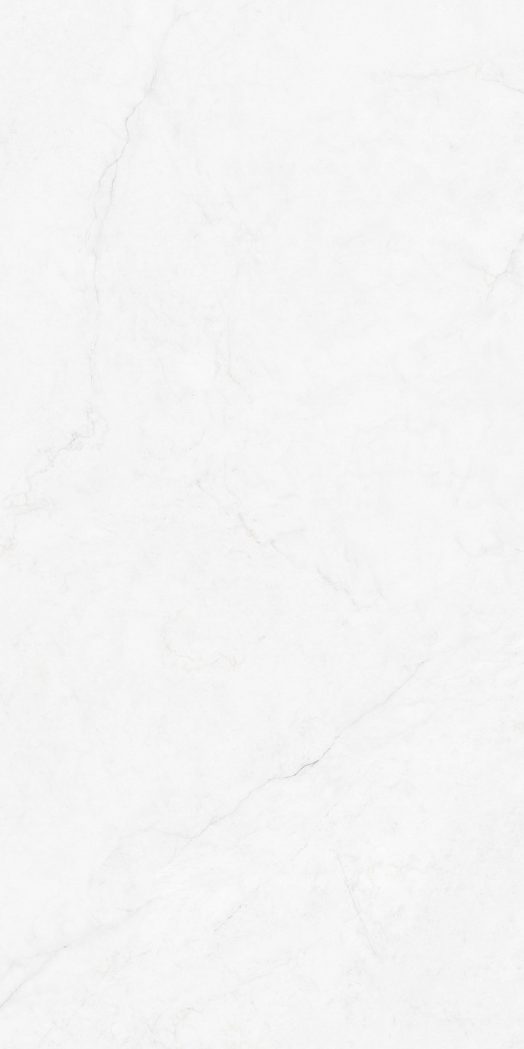 云顶集团·(中国)手机版app下载