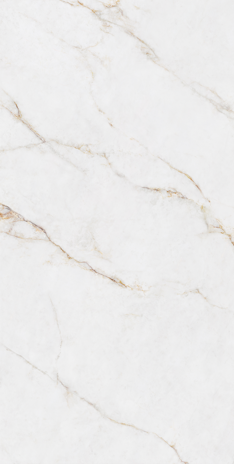 云顶集团·(中国)手机版app下载