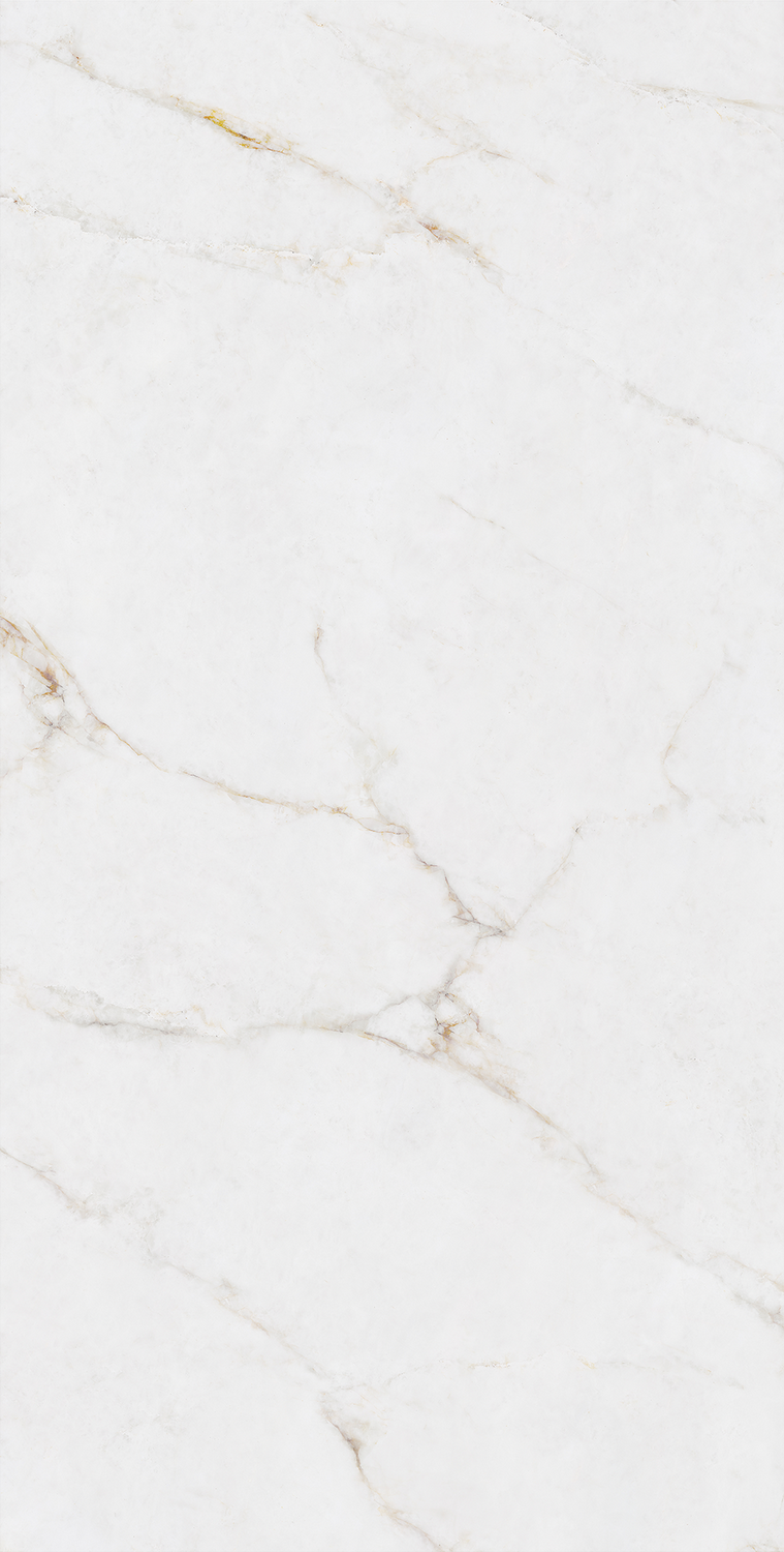 云顶集团·(中国)手机版app下载