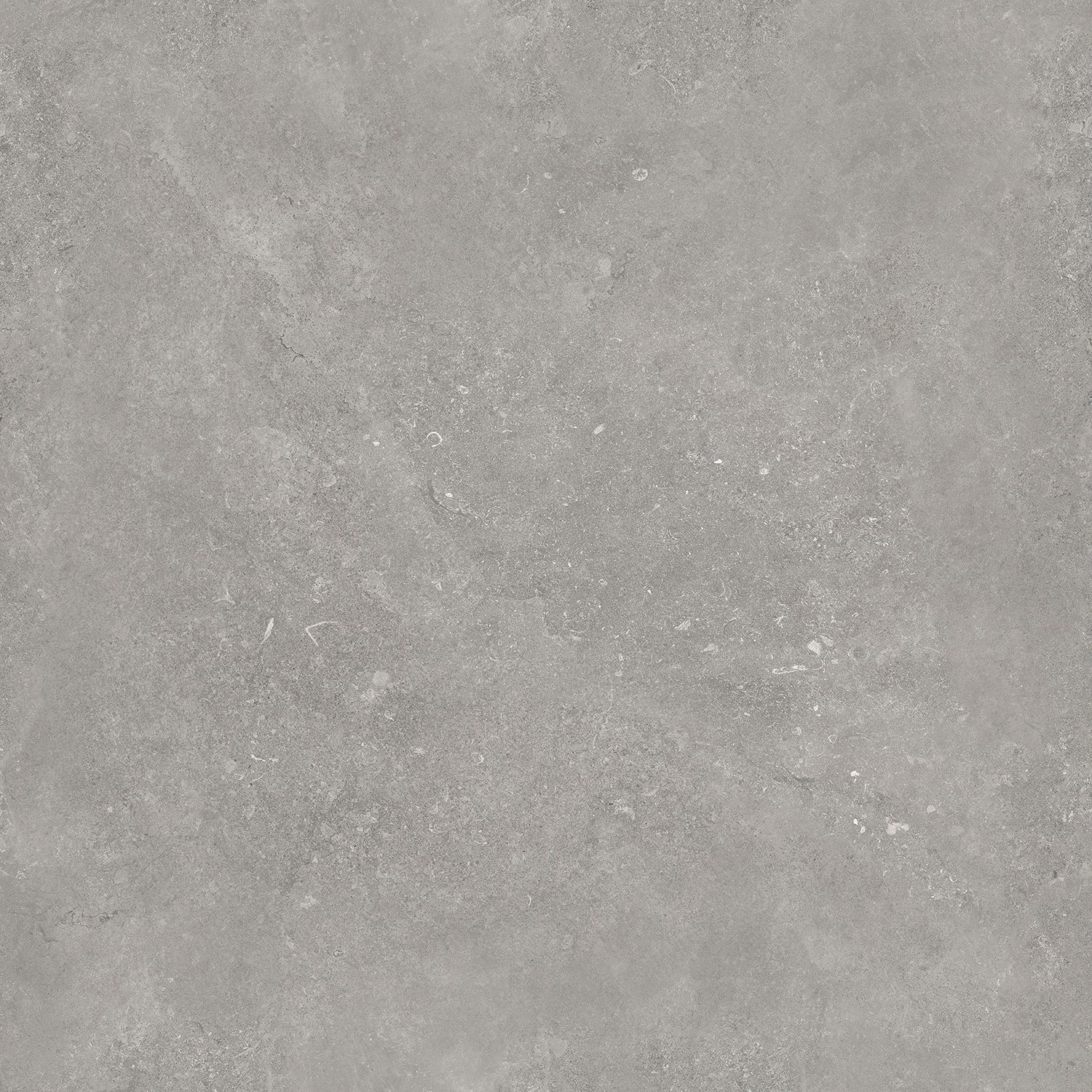 云顶集团·(中国)手机版app下载