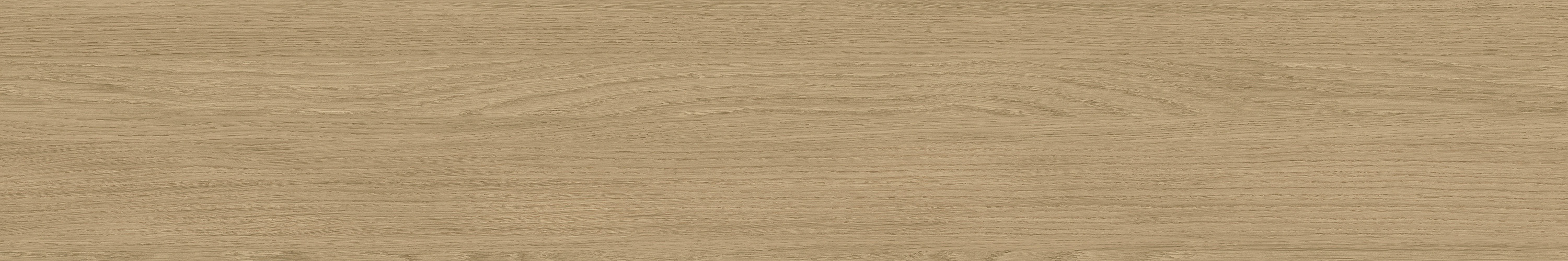 云顶集团·(中国)手机版app下载