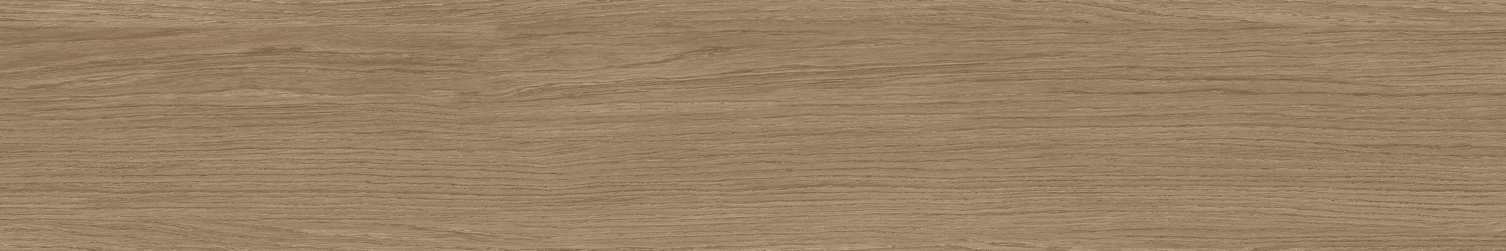 云顶集团·(中国)手机版app下载