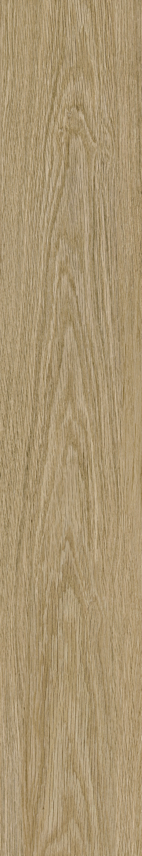 云顶集团·(中国)手机版app下载