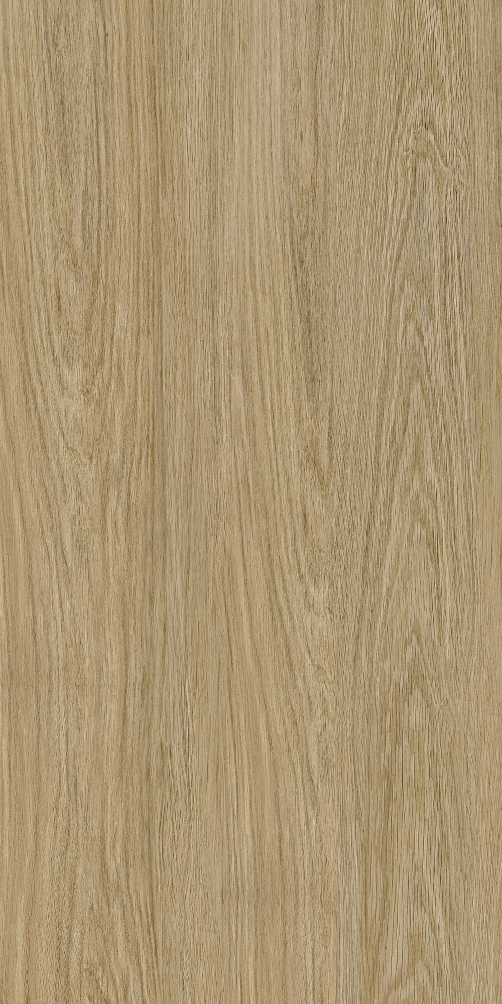 云顶集团·(中国)手机版app下载