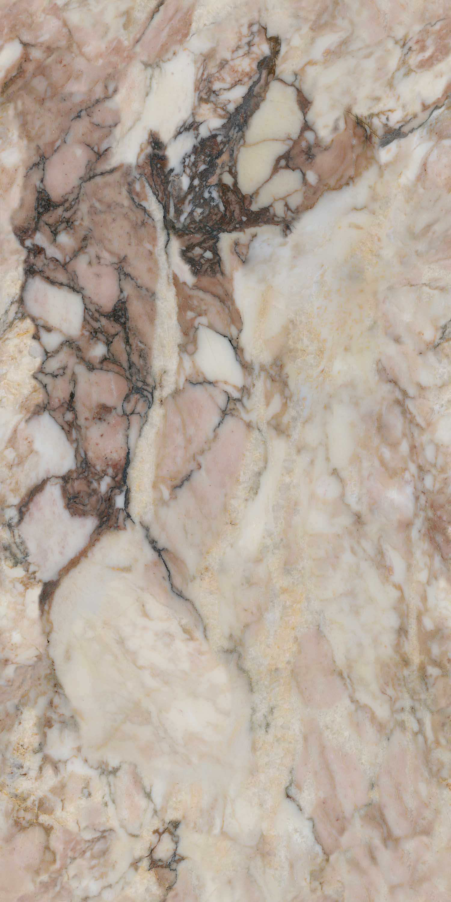 云顶集团·(中国)手机版app下载