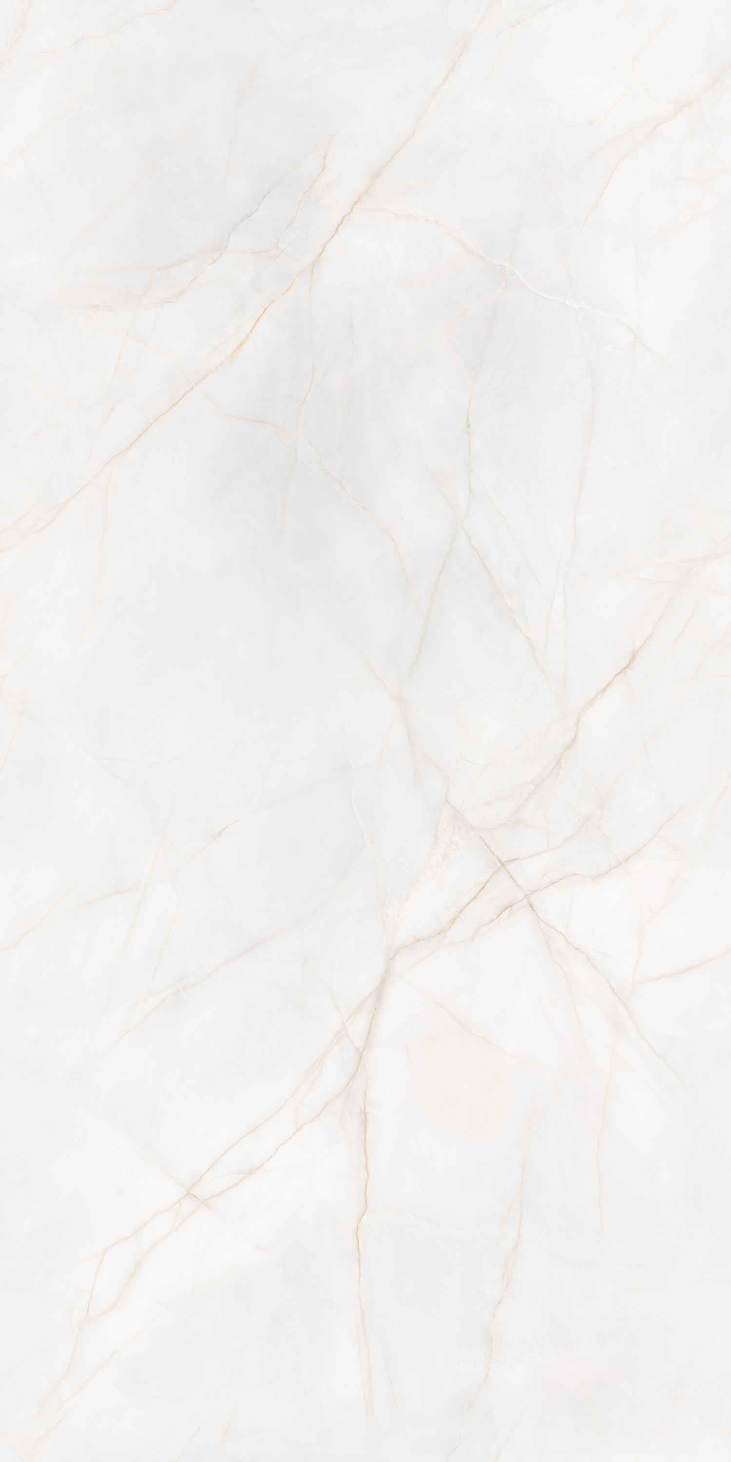 云顶集团·(中国)手机版app下载