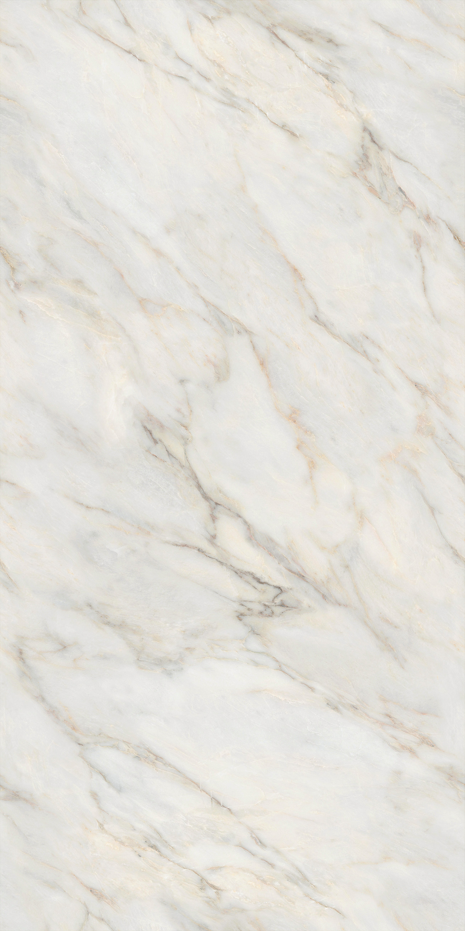 云顶集团·(中国)手机版app下载