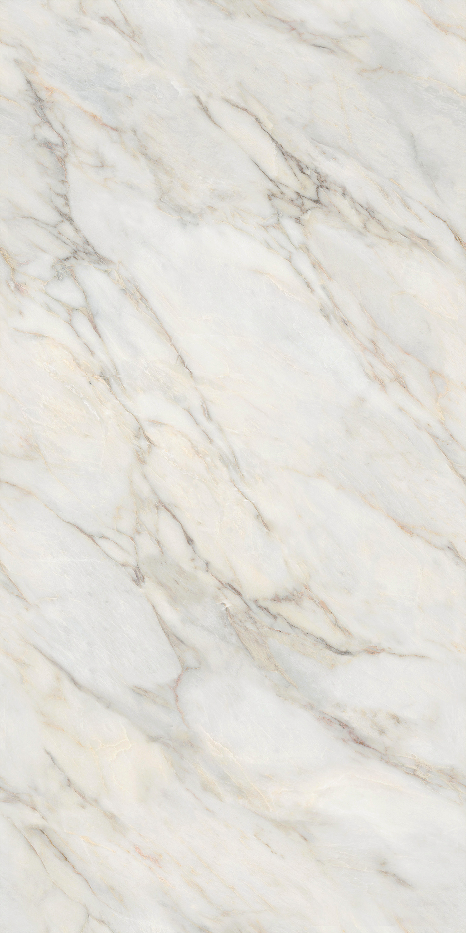 云顶集团·(中国)手机版app下载