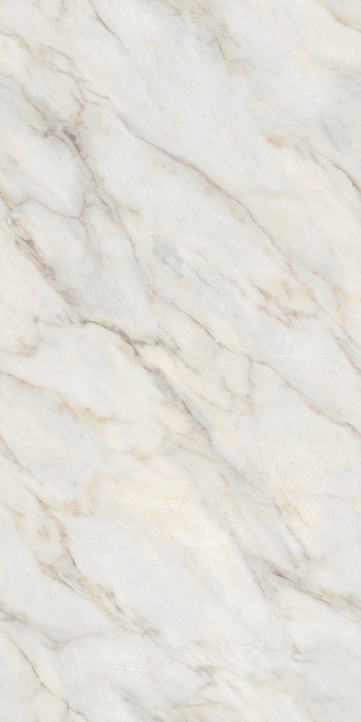 云顶集团·(中国)手机版app下载